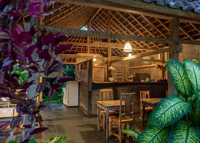 Hotel Abipraya Ubud 4*