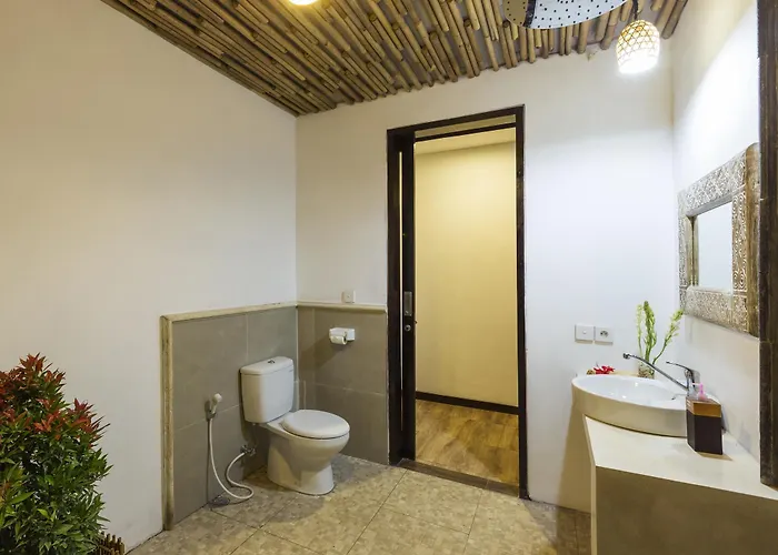 Hotel Abipraya Ubud 4*