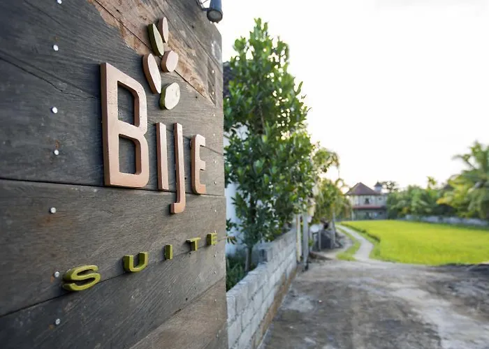 Hotel Abipraya Ubud