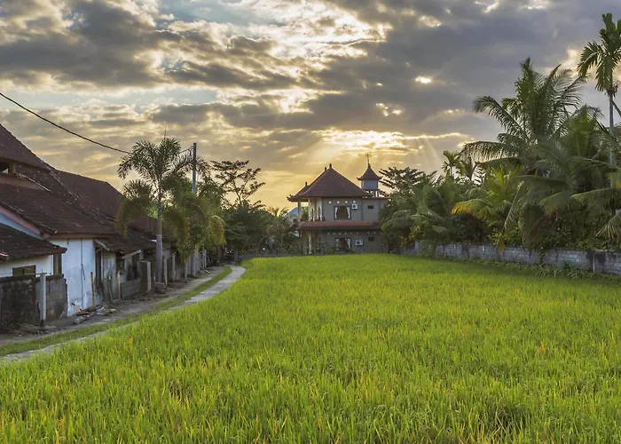 Abipraya Ubud 4*
